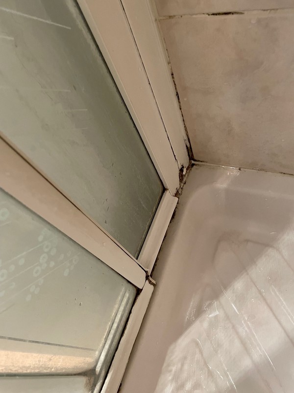 Joints de douche ciment + silicone à refaire, Champignysurmarne, Refaire joints salle de bain