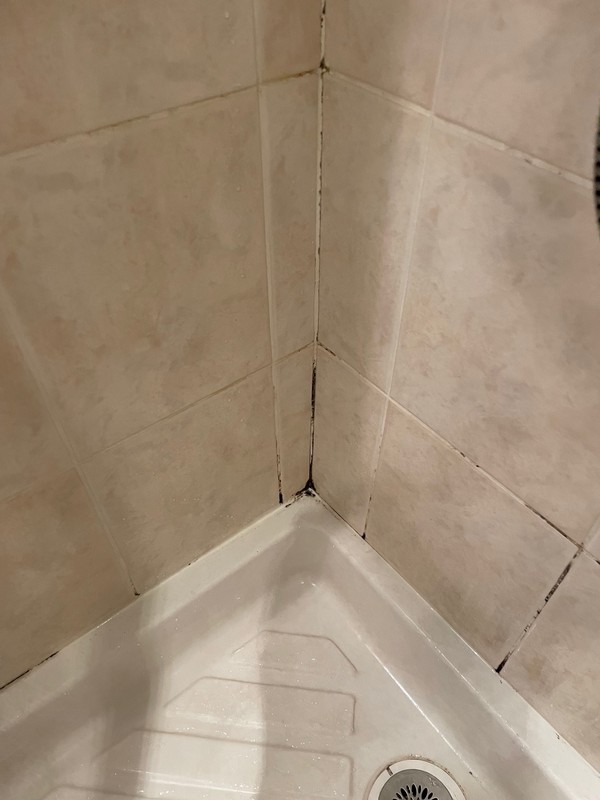 Joints de douche ciment + silicone à refaire, Champignysurmarne, Refaire joints salle de bain