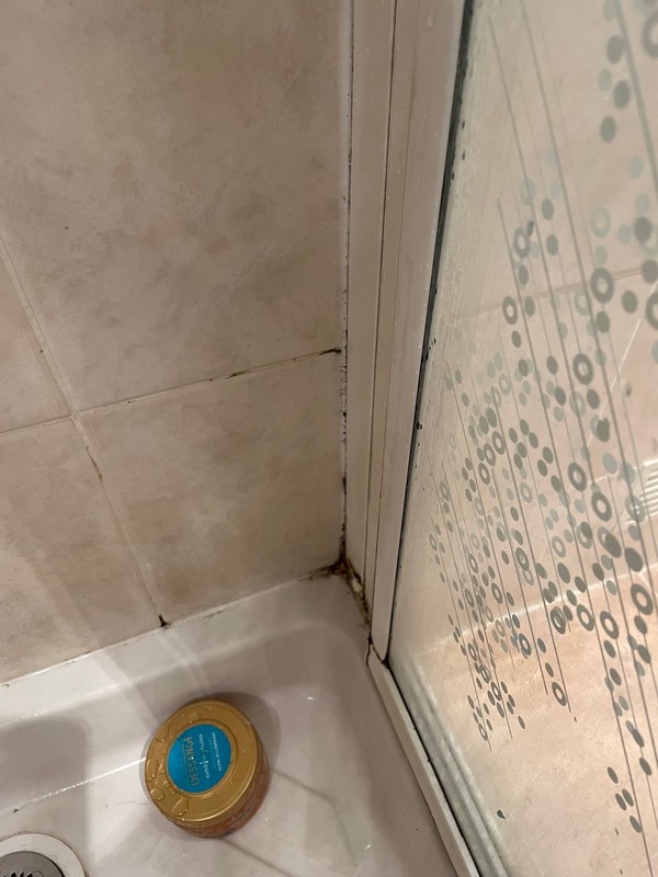 Joints de douche ciment + silicone à refaire, Champignysurmarne, Refaire joints salle de bain