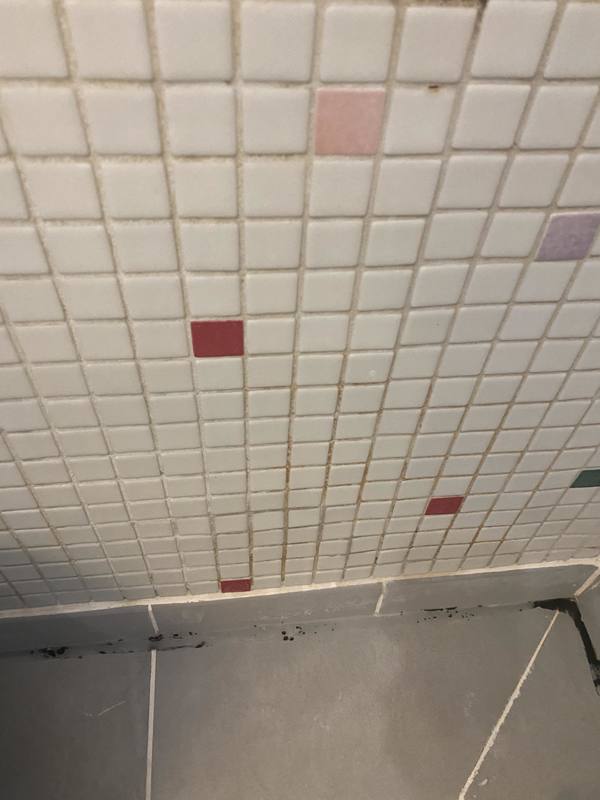 Refaire les joints de la douche, Paris 20, Refaire joints salle de bain, proposez vos services